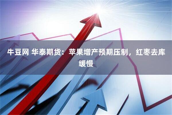 牛豆网 华泰期货:苹果增产预期压制,红枣去库缓慢