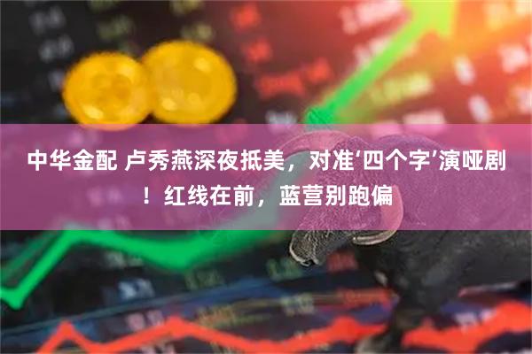 中华金配 卢秀燕深夜抵美，对准‘四个字’演哑剧！红线在前，蓝营别跑偏