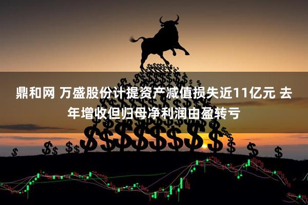 鼎和网 万盛股份计提资产减值损失近11亿元 去年增收但归母净利润由盈转亏
