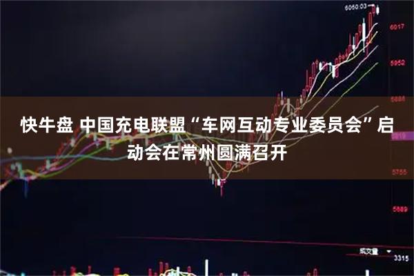 快牛盘 中国充电联盟“车网互动专业委员会”启动会在常州圆满召开