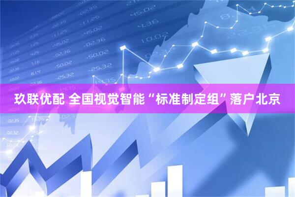 玖联优配 全国视觉智能“标准制定组”落户北京