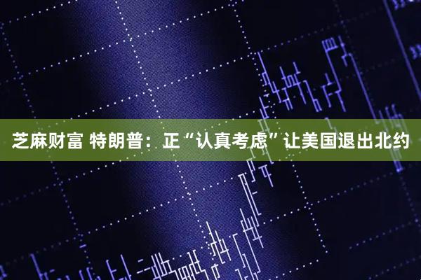 芝麻财富 特朗普：正“认真考虑”让美国退出北约