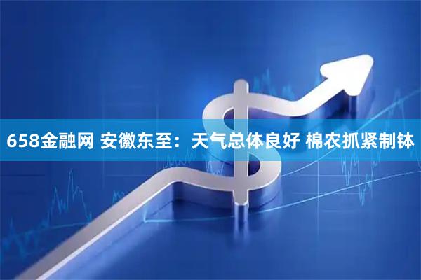 658金融网 安徽东至：天气总体良好 棉农抓紧制钵