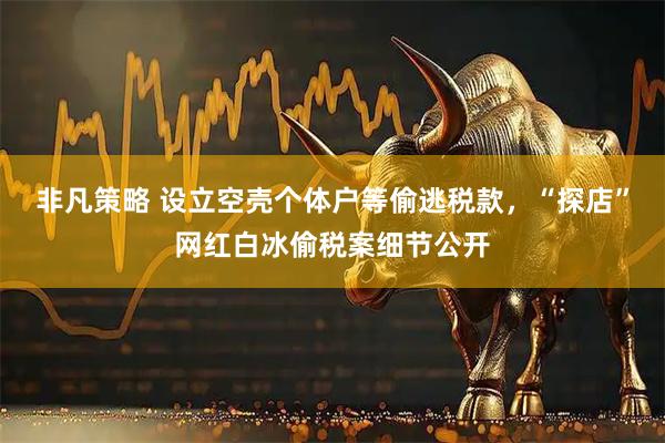 非凡策略 设立空壳个体户等偷逃税款,“探店”网红白冰偷税案细节公开