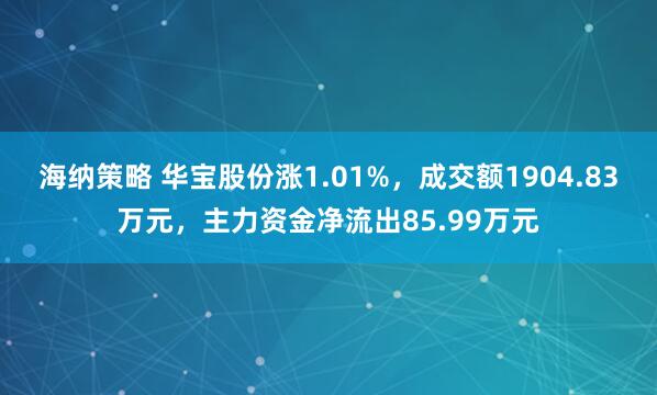 海纳策略 华宝股份涨1.01%，成交额1904.83万元，主力资金净流出85.99万元