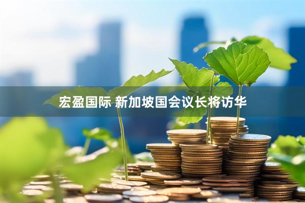 宏盈国际 新加坡国会议长将访华