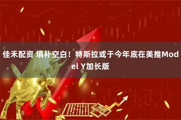 佳禾配资 填补空白！特斯拉或于今年底在美推Model Y加长版