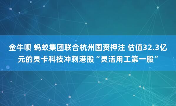 金牛呗 蚂蚁集团联合杭州国资押注 估值32.3亿元的灵卡科技冲刺港股“灵活用工第一股”