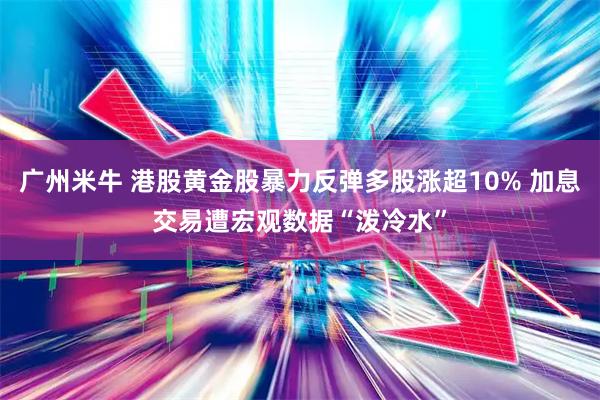 广州米牛 港股黄金股暴力反弹多股涨超10% 加息交易遭宏观数据“泼冷水”