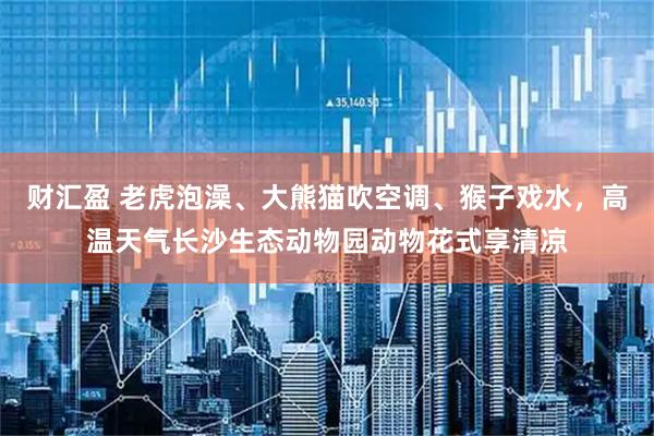 财汇盈 老虎泡澡、大熊猫吹空调、猴子戏水，高温天气长沙生态动物园动物花式享清凉