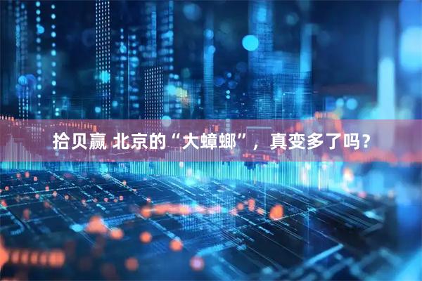拾贝赢 北京的“大蟑螂”，真变多了吗？